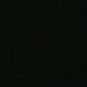 Meet your Posher, Travis